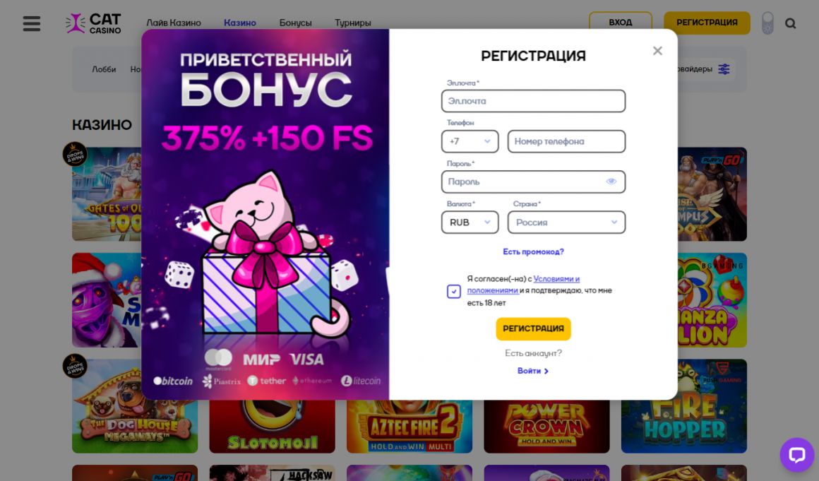 Кэт Казино - регистрация нового игрока